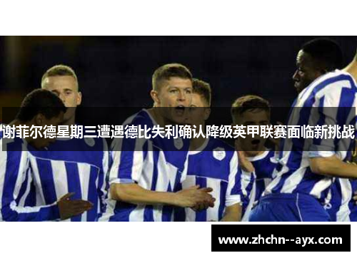 谢菲尔德星期三遭遇德比失利确认降级英甲联赛面临新挑战